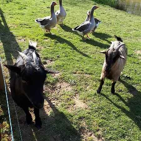 Hébergement de vacances Le Moulin Troude Teurtheville-Bocage